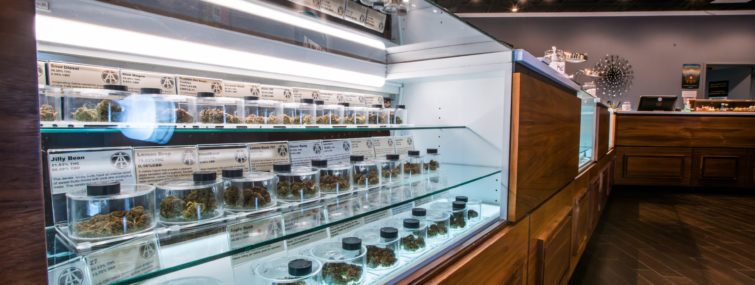 A wide variety of cannabis strains on display at Attis Trading SW Barbur dispensary